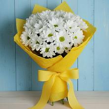Букет цветов из:  Хризантемы #REPLACE_PRED# Домодедово