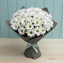 Букет цветов из:  Хризантемы в Домодедово