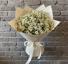 Букет цветов из:  Ромашки в Домодедово