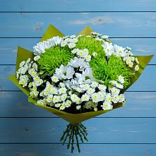 Букет цветов из:  Хризантемы в Домодедово
