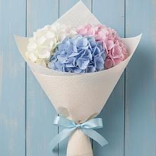 Букет цветов из:  Гортензия в Домодедово