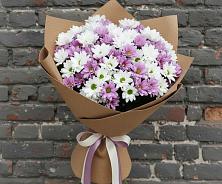 Букет цветов из:  Хризантемы в Домодедово