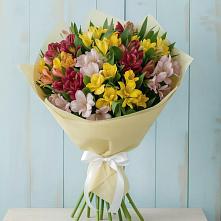Букет цветов из:  Альстромерии в Домодедово