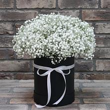 Цветочная композиция из Гипсофила в шляпной коробке в Домодедово