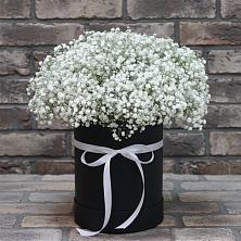 Цветочная композиция из Гипсофила в шляпной коробке в Домодедово