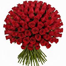 Букет Красные розы Чери Лав в Домодедово