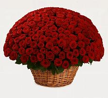 Премиум букет из: Розы в Домодедово