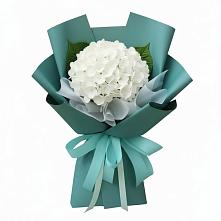 Букет цветов из:  Гортензия в Домодедово